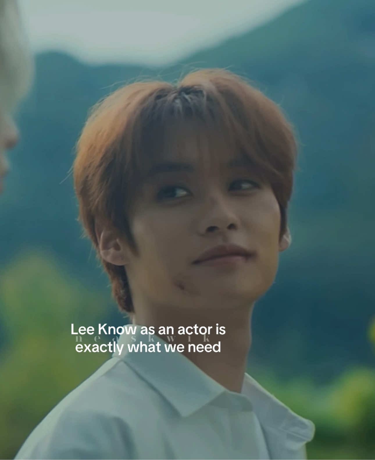 #straykids #leeknow #leeminho 