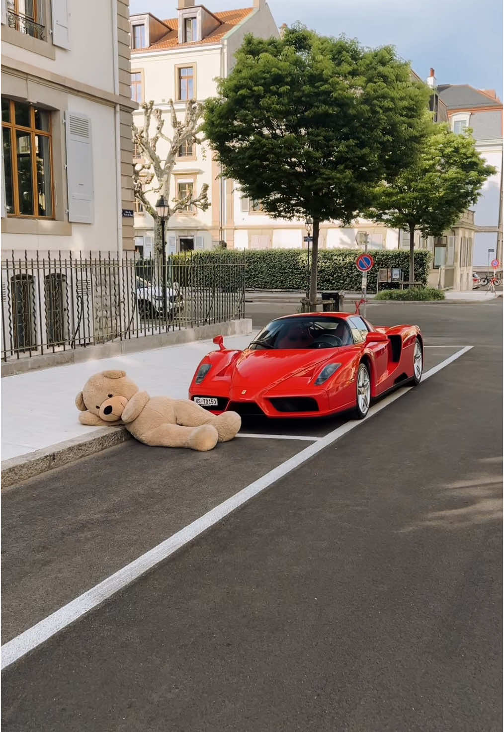 Enzo ❤️  🐻#enzo #ferrari #ferrarienzo 
