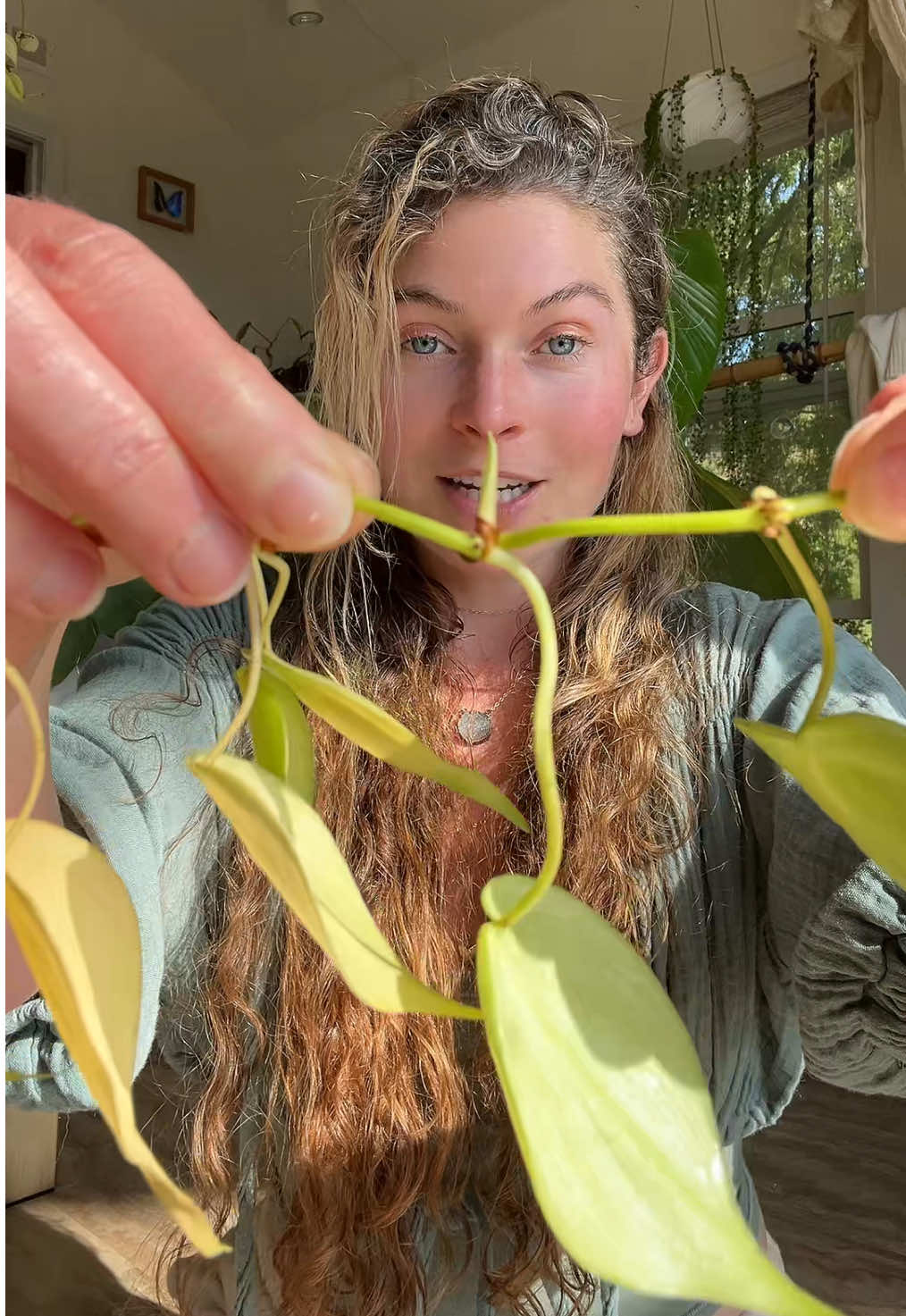 How to propagate your plants using keikipaste 🧚🏼🌱 #plants #planttips #propagation #keikipaste 