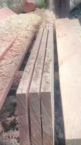 #treecut 