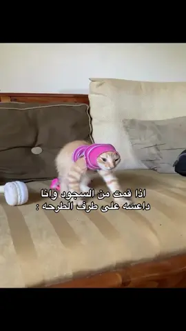 😭😭#fyp #foryoupage #اكسبلور 