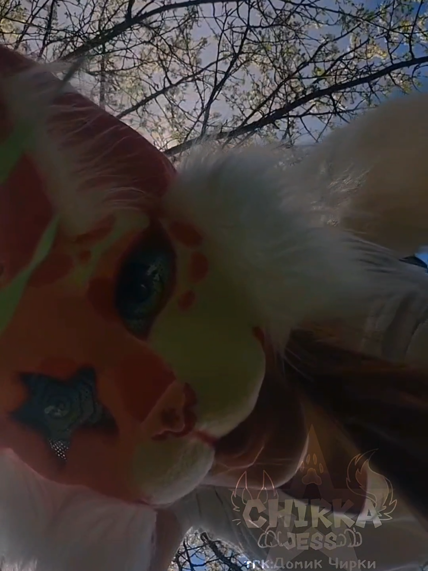 🌷„ Meow! “😛 #chirkajess #therianmask #theriansoftiktok #happy #quadrolife #quadrobics #quadrobicsjump #quadrobist #quadro #quadros #acrobatics #theri #therian #therianthropy #theriantiktok #theriansoftiktok #sakura #fakebody #anthropomorphic #paw #beautiful #antizoo #fun #териан #квадробер #квадробика🐾 #tail #forest #cat #pink #cute #fur #therians #flower 