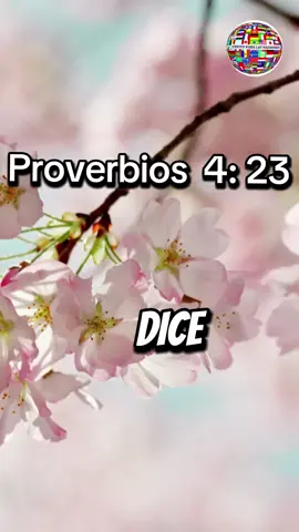 Proverbios  4: 23 #palabradeDios #sabiduría #creatorlnsightsight #fe #reflexion 