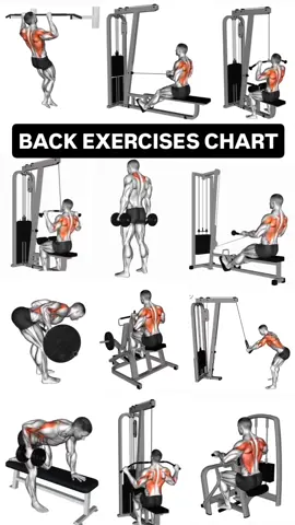 #gym #Fitness #fyp #GymTok #gymrat #gymlover #fitnessmotivation #fitnesstips #fitcheck #tik_tok #tiktoknews #tiktoker #tiktokviral #tiktoknepal #VoiceEffects #worklife #chesterbennington #vairal #chestworkout #chest #viralvideos #videoviral #videos 