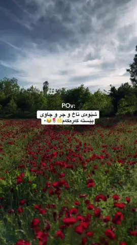 هەر خۆشی بە کەر ئەبینێ من چ بکەم😔😂#fypシ゚ #foryou #foryoupage #acc #دهۆک_هەولێر_سلێمانی_زاخۆ_کەرکوک #kalakchi #bestfriend 