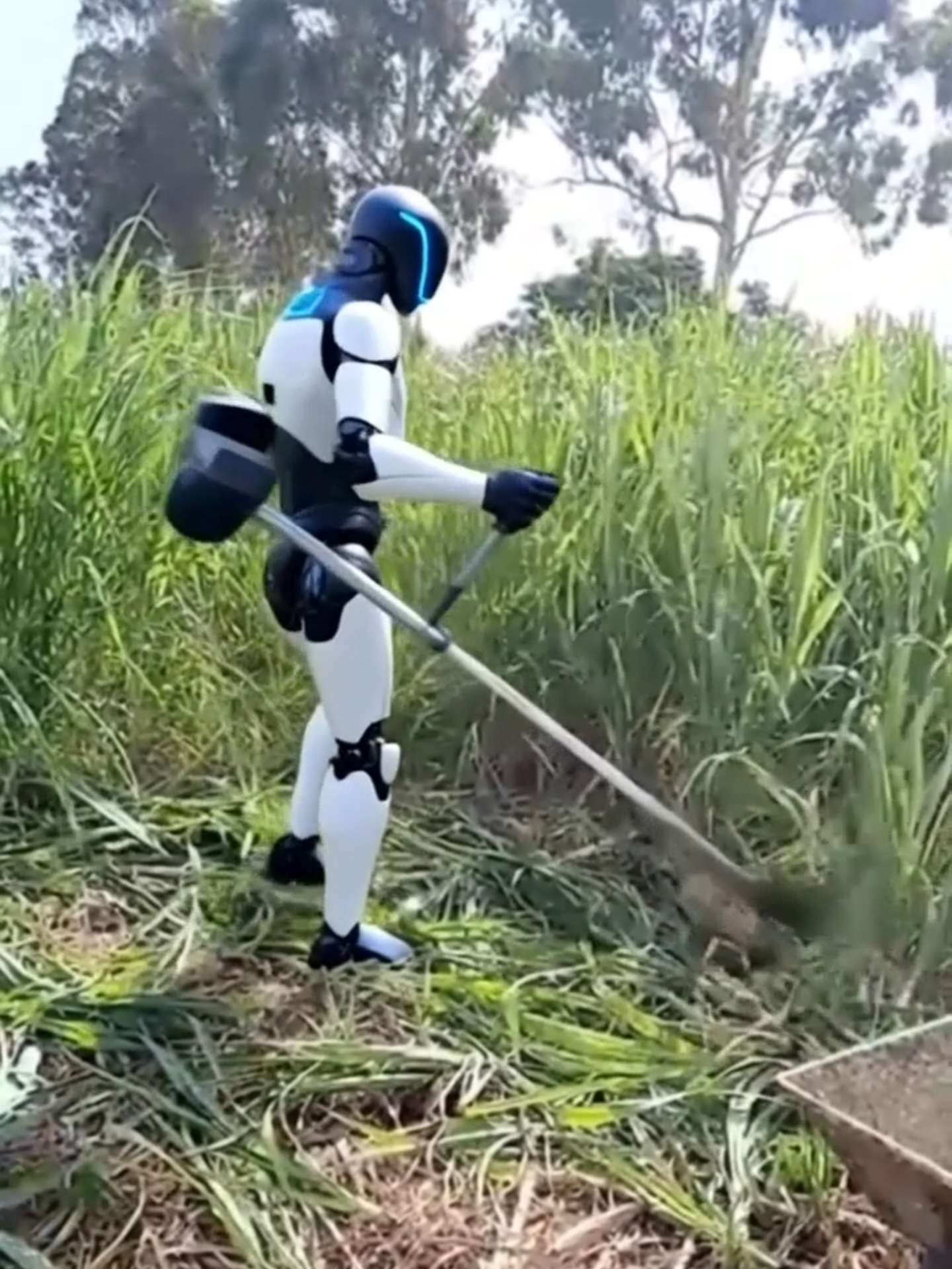 🪓 Meu robô trabalhador versão radical! Cortando capim como um profissional. #RobotPower #RobotGardener #AIWorker #FuturisticTools #TechInAction #SmartRobot #LawnCutting #RobotMower #TikTokTech #NextGenRobot #CoolGadgets