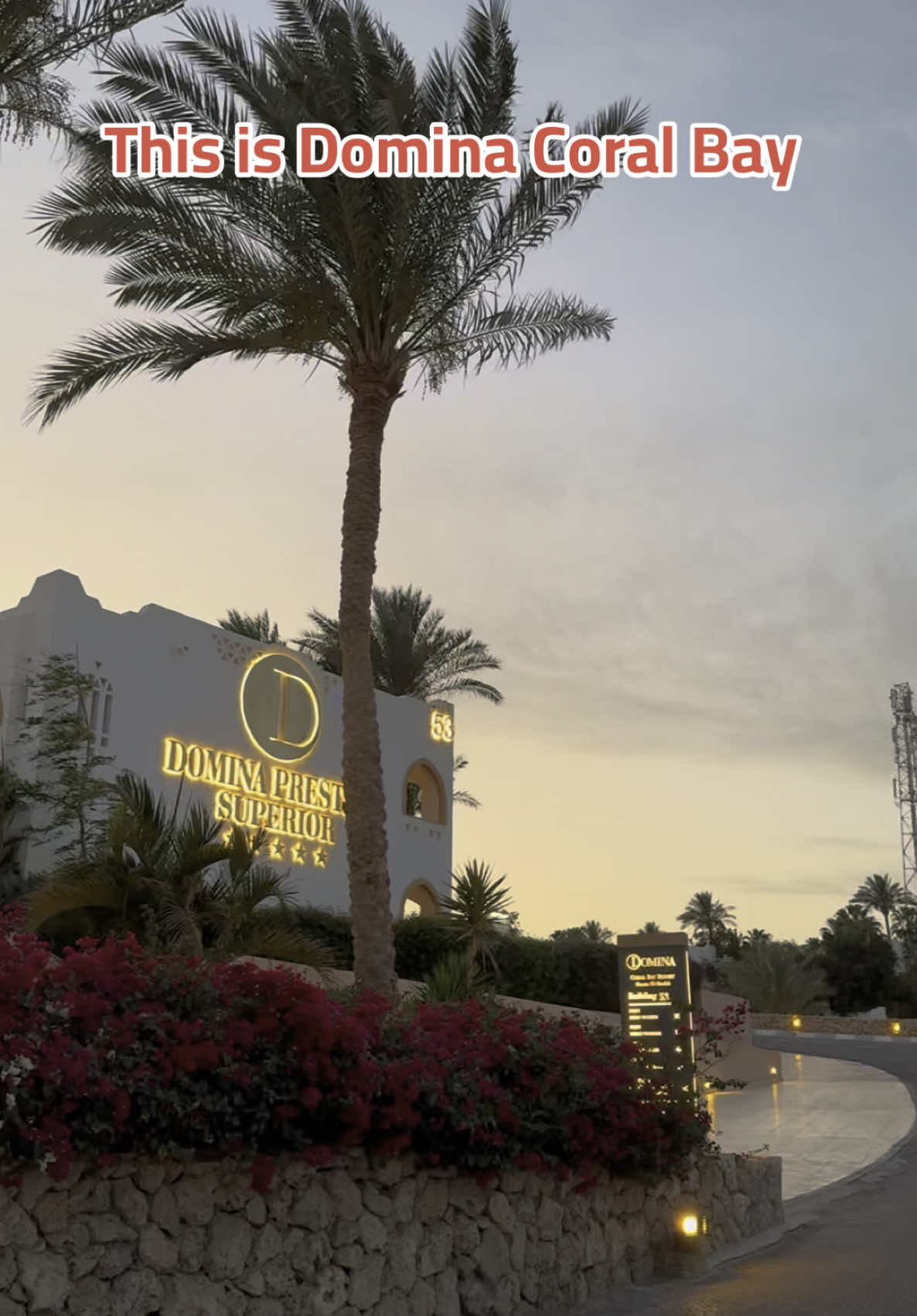 Per me il Domina Coral Bay resta sempre il Top di Gamma #sharmelsheikh #traveller #travelvlog 