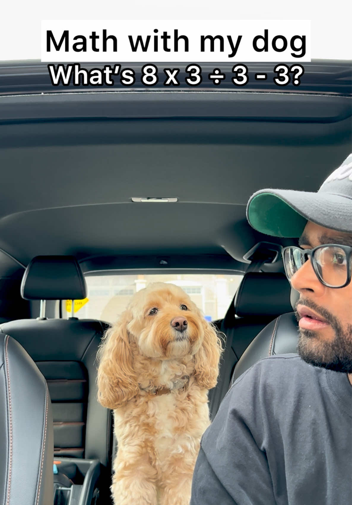It’s a thinker 😳 #dogsoftiktok #puppylove #doglove #dogs #cutedog #funnydog #smartdog 