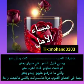 ديمة فى العشاق- نادر خضر 