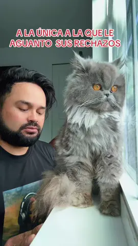 #gatos #gata #michi #g #a #t #o #amorgatuno #paratiiiiiiiiiiiiiiiiiiiiiiiiiiiiiii #parati #unmillon #tendencia #viralvideo 
