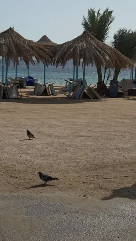 hurghada egypt