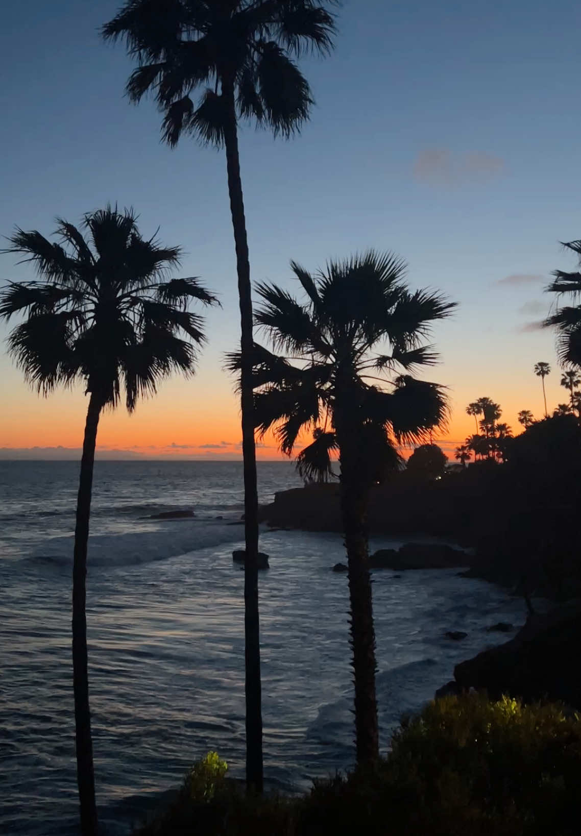 #lagunabeach 