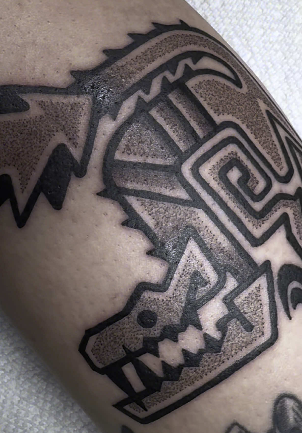 Odogaron from Monster Hunter World! 🐉  Hey! I’m Rayne, a tattoo artist based in LA specializing in video game / cartoon / etc. tattoos in my own style. I have a bunch of flash to choose from and also down for custom work! Hit me up for an appointment and follow me on Instagram!  . . . #monsterhunter #monsterhunterrise #monsterhunterwilds #monsterhunterfanart #monsterhuntertattoo #monsterhunterfans #videogametattoo #videogametatts #gamerink #losangelestattoo #losangelestattooartist 