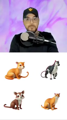 #pepemillonario #tiktok #foryou #foryoupage #fyp 