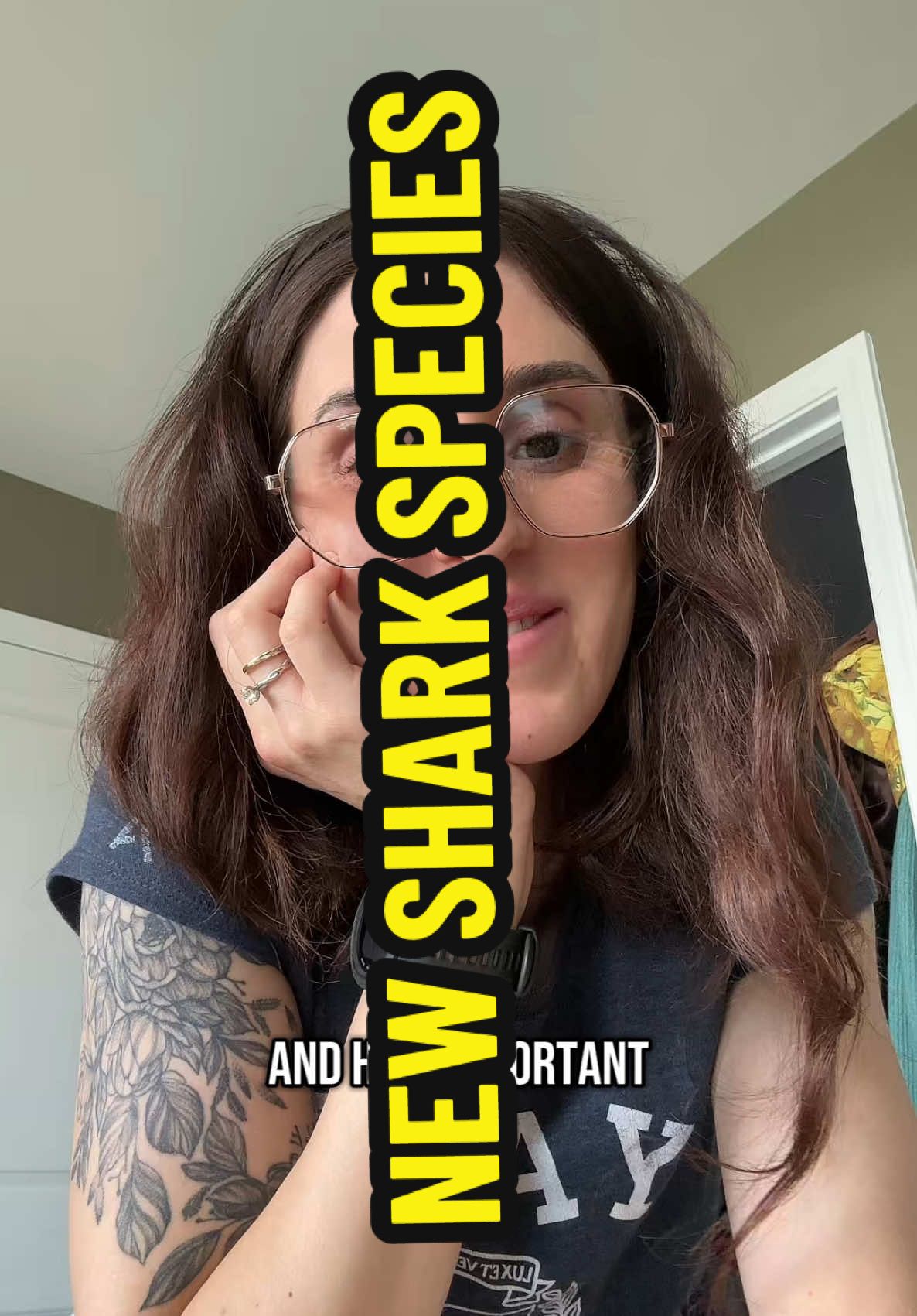 #shark #sharksoftiktok #sharktok #animalsoftiktok #animalscience #apexpredator #oceanlover #sharklover #gastropod #newanimal #seastar #starfish #guitarshark #sharksarecool #sharkscience #oceananimals #oceanlife #oceanlover 
