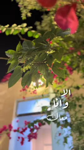 #CapCut #فضل_شاكر #معاك #روحي #ترند_تيك_توك #خواطر #رحلة #بحر #غروب #مشوار #وأنا_معاك #explore 