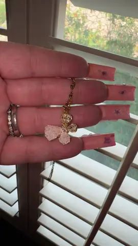 🦋✨