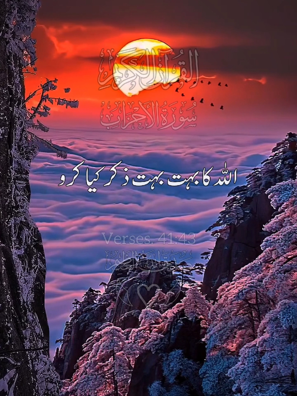 #القران_الكريم_راحه_نفسية😍🕋 #درودشریف_پڑھ_کر_آگے_شیئر_ضرور_کرے #سبحان_الله_وبحمده_سبحان_الله_العظيم #حسبي_الله_ونعم_الوكيل #ارح_سمعك_بالقران #راحة_نفسية #foruyou #fyppppppppppppppppppppppp @🌹📖𝙃𝙤𝙡𝙮 𝙌𝙪𝙧𝙖𝙣 📖🌹 @TikTok @TiktokPakistanOfficial @TikTok UK @