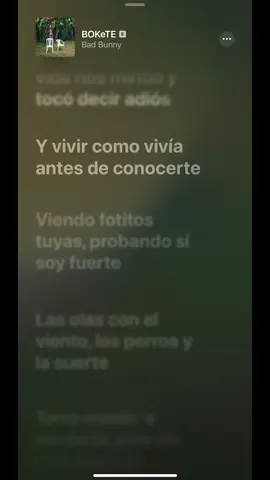 #bokete #badbunny 
