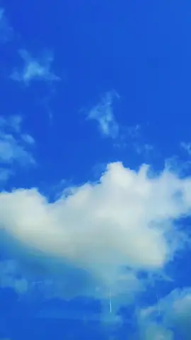#viral_video 