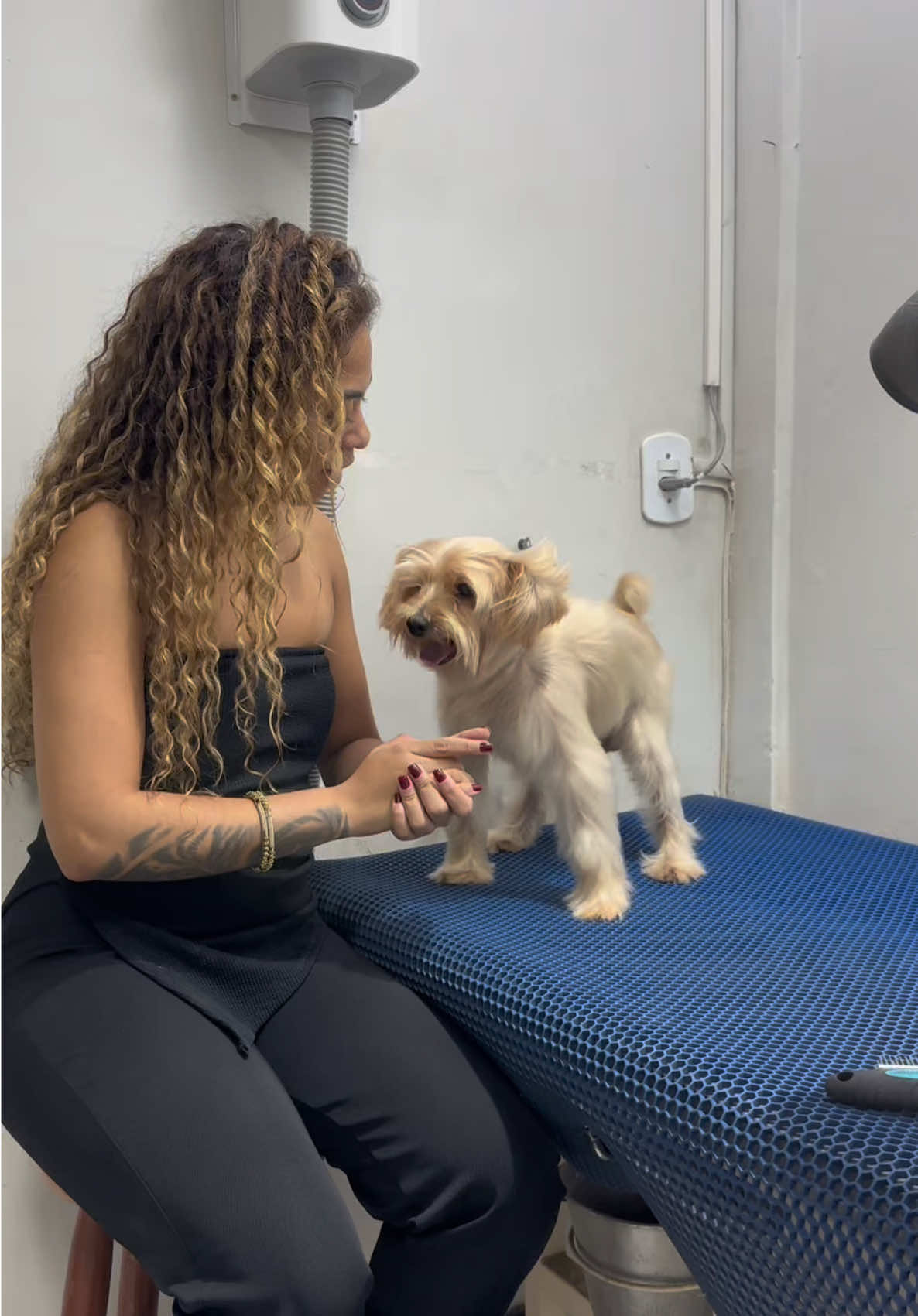 O véi tá enxuto 🤣 #cachorro #petshop #fyp 