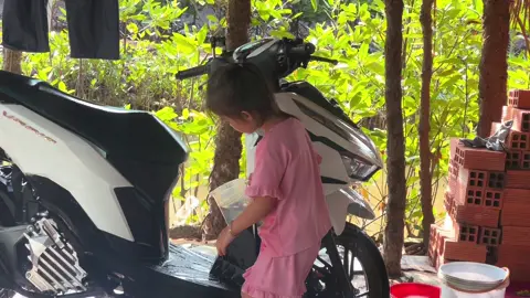 Mới mướn đc em mino rửa xe giá hạt dẻ nè..🤣#vario125 #xuhuong 