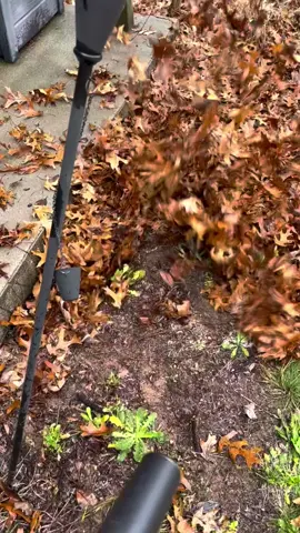 Do you want one?#Woodworking #leaf #blower #leafblower #tool #cordless 
