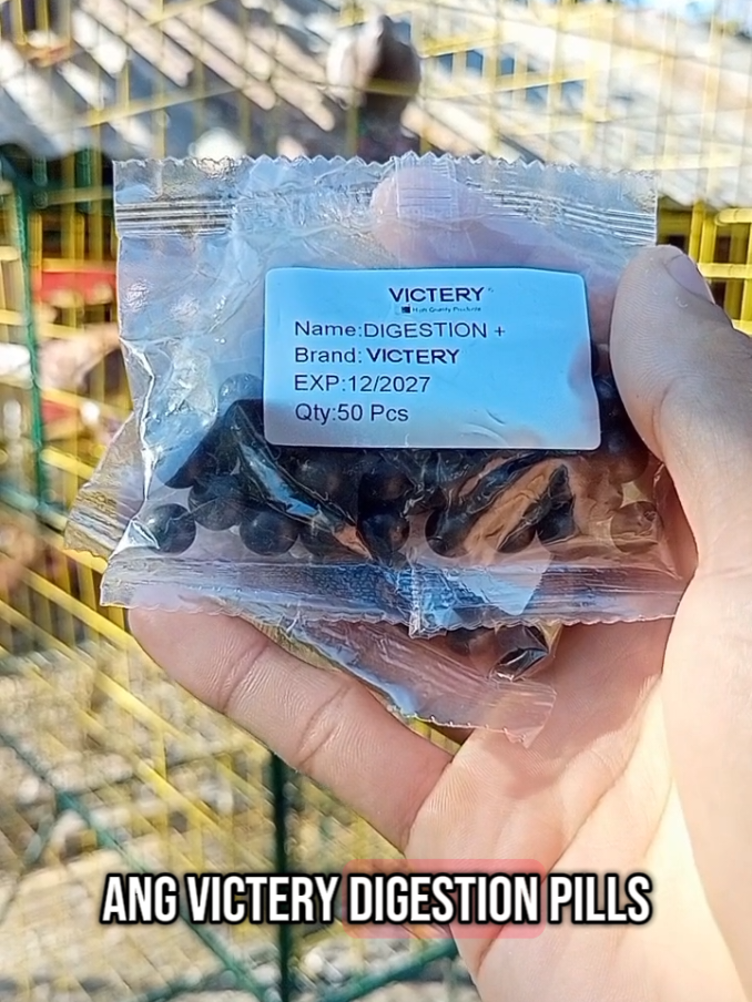Replying to @xian_to143 VICTERY DIGESTION PILLS🔥 #racingpigeon  #racing #dagit #kalapati #kalapatids #breeders #breed #pigeons #youtubers #inakay #flyers #kalapatids #netoy #flyers #streetfight 