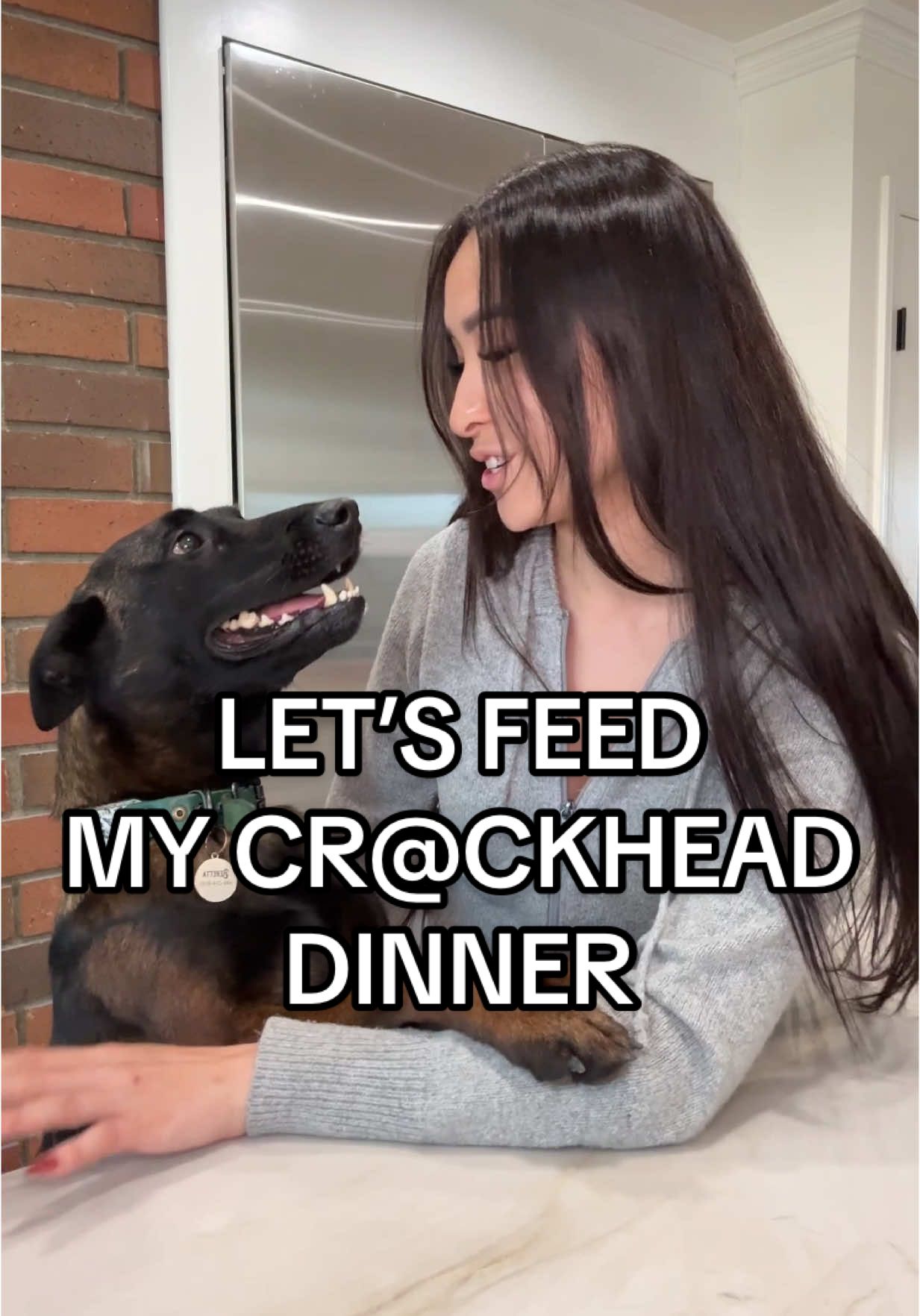 Let’s feed my 2 year old cr*ckhead💕🫡 #dogfoodrecipe #dogfeedingroutine #belgianmalinois 