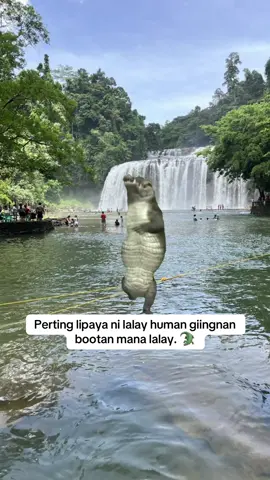 ayaw paaka lay. #foryourpages #crododile #trending #viralvideo 