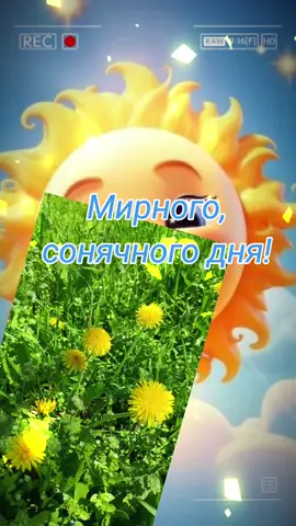 #новийдень #ранок #добрийранок #гарногодня #позитив 
