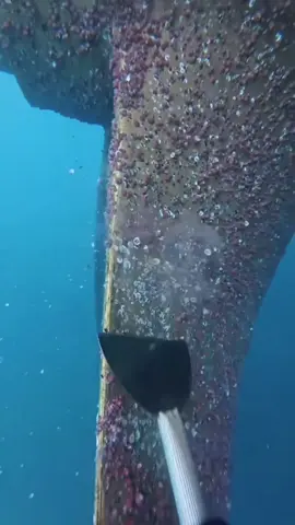 Cleaning barnacles from ship propeller#Unzip #clean #Blue 