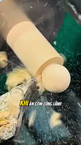 Khi ăn cơm cùng lãnh đạo được lãnh đạo khen mình sẽ xử lý khéo léo như thế nào #leanontiktok #phattrienbanthan #baihoccuocsong #gocnhocuasach #nhungcaunoihay #hoccungtiktok #sach #BookTok #book #sachhay 