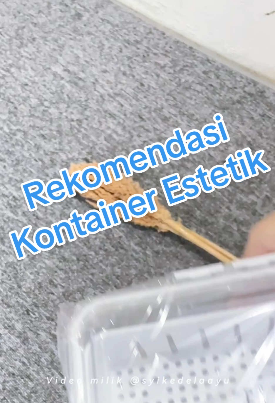 #fyp  #kontainer #kotakpenyimpanan #videoviral 