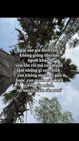 #fyp #xuhuong #viral 