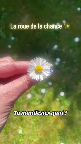 🌟 J’attire le positif, la chance, la réussite et le succès 🍀🌞 #manifestation #manifesting #spiritualité #viralvideos #pourtoi #pourtoipage 