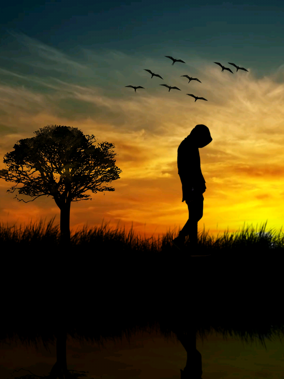 Sunset sky creative black photography follow me#followme #fypシ #capcut #edits #picsarttutorial #noorullahextra #photo #editing #trending #photoediting #creative #100kviews #style 