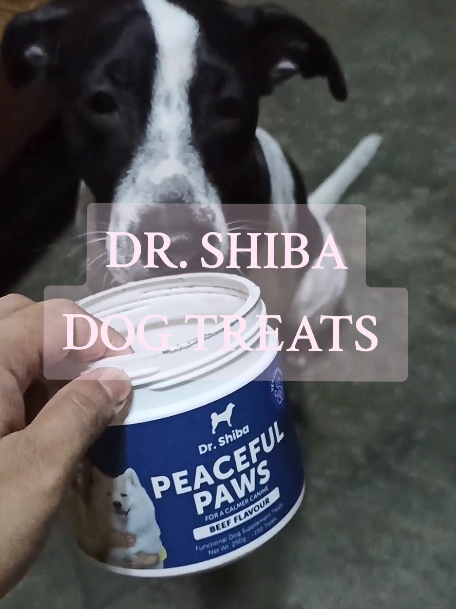fav treats, at share ko din sainyo baka maging fav din nila 🤍 #drshiba #drshibafunctionaldogsnacks #dogtreats #fyp 