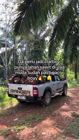 Gacor boyyy🔥#sawit🌴 #sawittiktok🌴🌴🌴 #bosmuda #mobillangsirsawit #fyp 