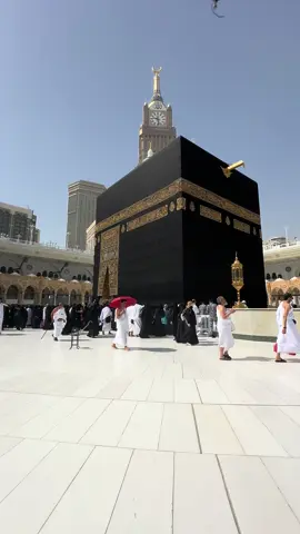 كل الذين حمدوا الله على حالهم  ‏زادهم الله من خيره، وأسبغ عليهم من نعمه   ‏فالزموا  