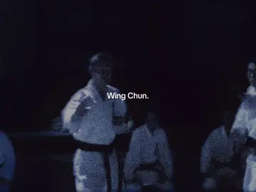 10 vs 1 💀 #wingchun #ipman #yipman #china #martialarts #combat #testosterone 
