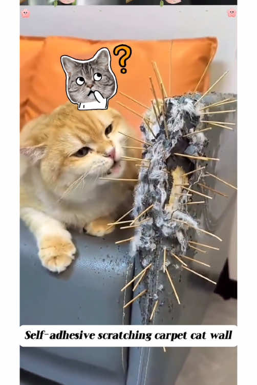 Self-adhesive scratching carpet cat wall, scratching mat, scratching boards cat wall, cat scratching boards #tiktokshopspringglowup #spotlightfinds #tiktokshopspringglowup #spotlightfinds 