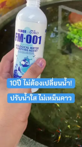 น้ำใสไม่เกินจริงไม่ต้องเปลี่ยนน้ำอ่างปลาบ่อยๆ#เทรนด์วันนี้້ #จุลินทรีย์น้ําใส #อ่างปลาน้ำใส #จัดอ่างปลา 