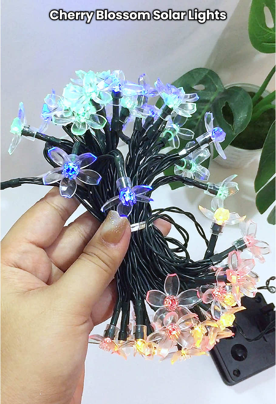 cherry blossom solar lights at waterproof na din. kung may garden ka perfect decor to 🥰💯 #cherryblossomsolarstringlight #solarlights #gardendecor #christmasdecor #flowerlights #flowersolarlights #homedecor #stringlights #outdoorlights #outdoordecor 