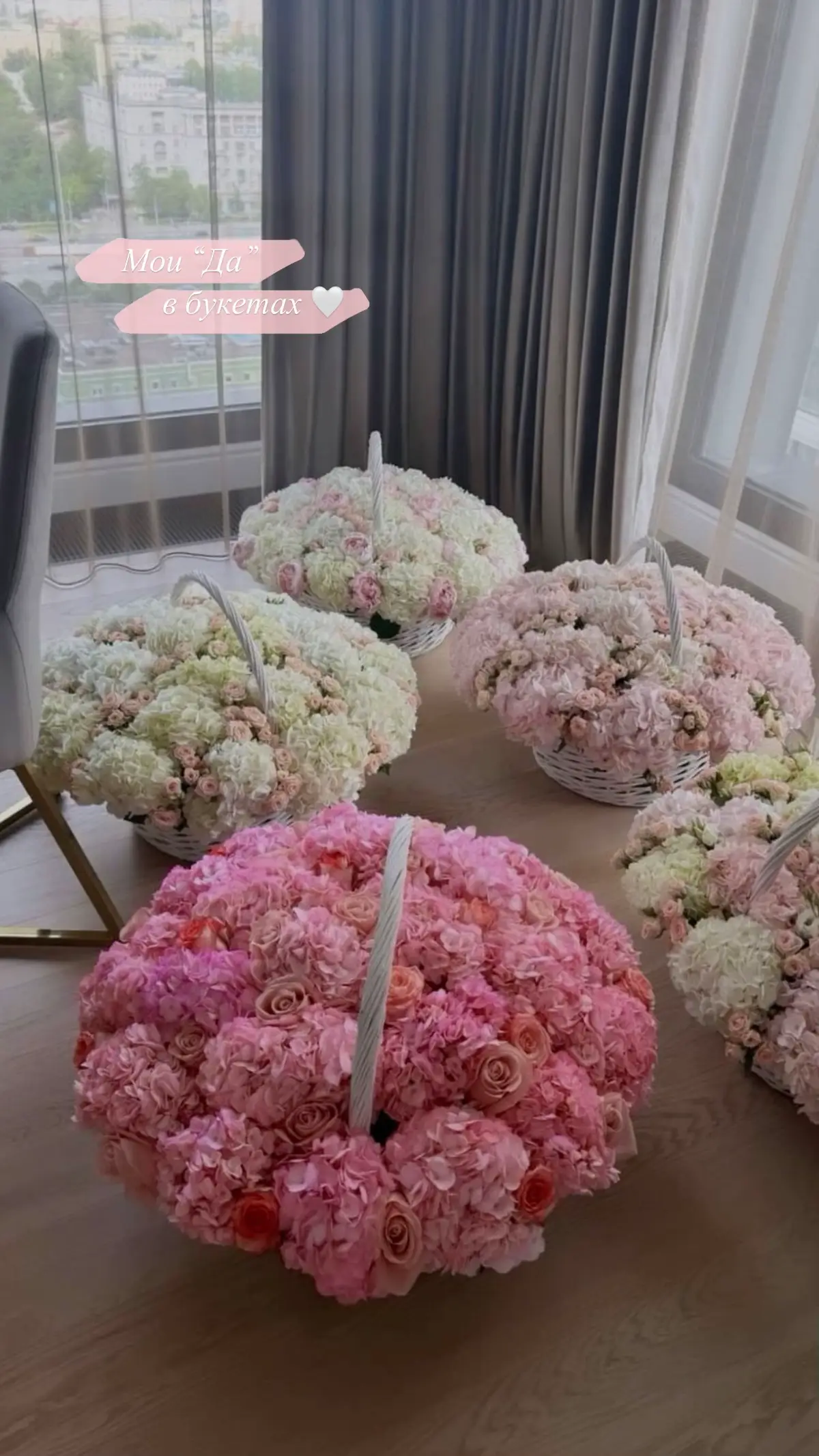 #flowers #recommendations #fyp 