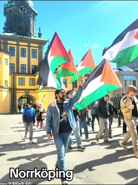 #freepalestine #norrköping #🍉 