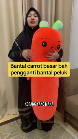 Korang beli bantal carrot macam ni kalau nak peluk malam2 tido lagi selesa tau. #bantal #bantalhotel #bantalviral #fyp 