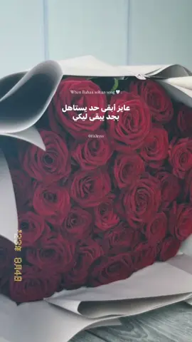 #fyyyyyyyyyyyyyyyy #fybシ #بهاء_سلطان #عمرو_دياب #تامر_عاشور #رامي_صبري #استوريات #استوريات_انستا_واتساب #حالات_واتس #حالات_واتس_اب #اكسبلور #explore #foryoupage 