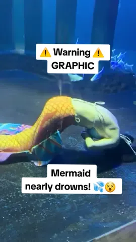 What happened⁉️⬇️ 📸 Credit: @redvelvet.zero @apnea_art @atlantis_sanya This incident happened at an ocean amusement park in China during an underwater mermaid performance 🧜🏻‍♀️ The freediving mermaid suffered a blackout and sank to the bottom of the pool. Spectators looked on as she lay unconscious with her body spasming and convulsing 😵 Eventually a staff member jumped into the water to try and save her, but without appropriate equipment they struggled to get the diver to the surface News articles report that the diver survived and is still recovering in hospital 🚑 This is a timely reminder to never dive alone and to always have trained safety divers on standby in case of an emergency! 💦⛑️ #freediving #freediver #mermaid #accident #blackout #freedive #closecall #drowning #drown #aquatic #holdyourbreath #diving #unconscious #neverdivealone #breathhold #graphic #graphiccontent #breathe #sport #sportsfails #fail 