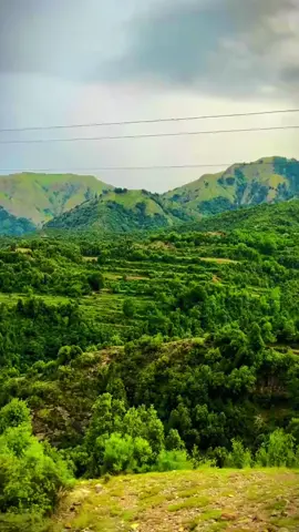 Ta ba Ghaorm za 🤌❤️‍🩹🥀 #pashto #song #foryou #viral_video #kurram_agency 